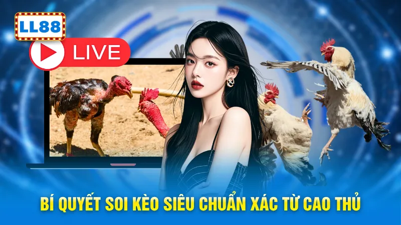 Bí quyết soi kèo siêu chuẩn xác từ cao thủ