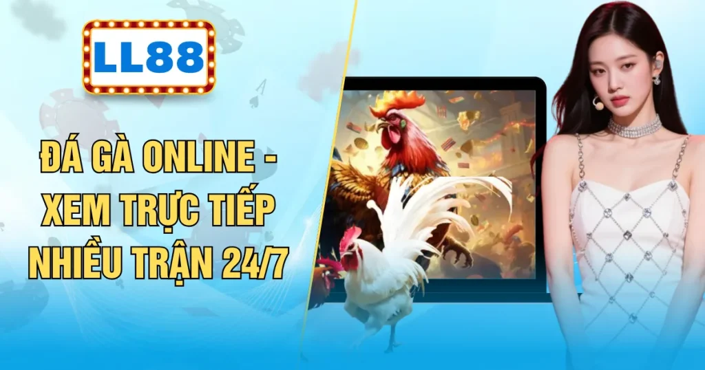 Đá Gà Online - Xem Trực Tiếp Nhiều Trận 24/7