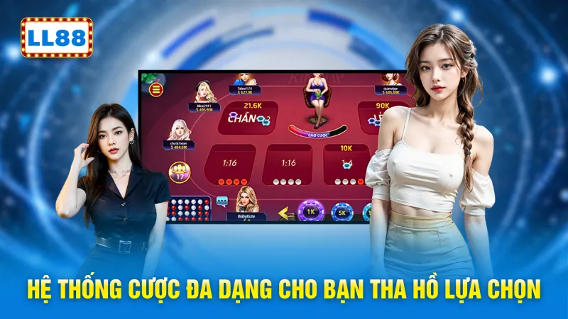 Hệ thống cược đa dạng cho bạn tha hồ lựa chọn