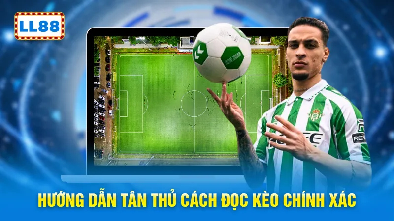 Hướng dẫn tân thủ cách đọc kèo chính xác