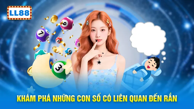 Khám phá những con số có liên quan đến rắn