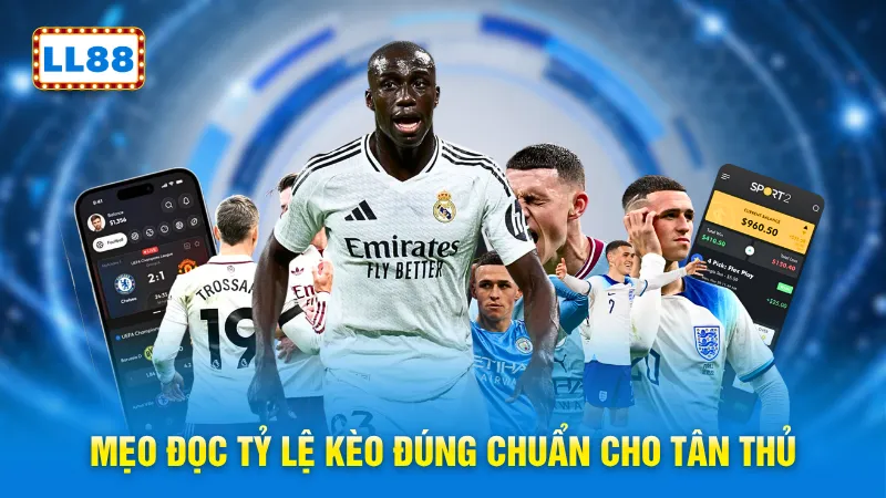 Mẹo đọc tỷ lệ kèo đúng chuẩn cho tân thủ
